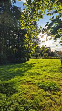 Foto - 3.5 Zimmer Etagenwohnung in Blomberg