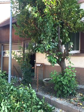 Foto - 7 Zimmer Einfamilienhaus zum Kaufen in Lahr (Schwarzwald)