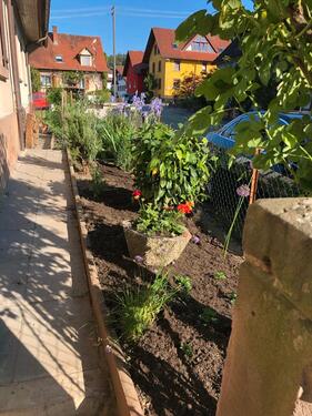 Foto - 7 Zimmer Einfamilienhaus in Lahr (Schwarzwald)