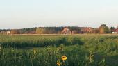 Foto - WohnwagenTinyhaus Camper Stellplatz. Naturnaher Garten
