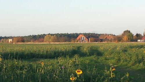 Foto - WohnwagenTinyhaus Camper Stellplatz. Naturnaher Garten