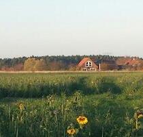 WohnwagenTinyhaus Camper Stellplatz. Naturnaher Garten - Jüterbog