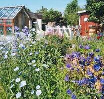 Pachtgarten Gotha Siebleben KGA Sonnenschein II