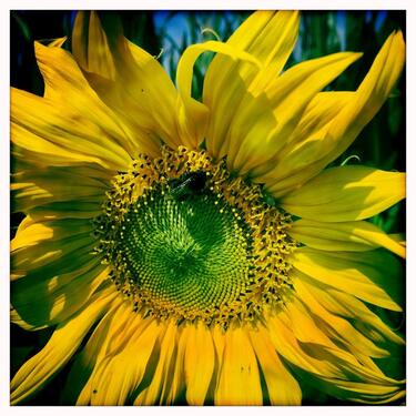 Foto - Zwei Häuser für Wohnen & Arbeiten unter einem Dach!