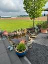 Foto - Einfamilienhaus in Königswinter zum Kaufen