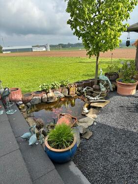 Foto - Einfamilienhaus in Königswinter zum Kaufen