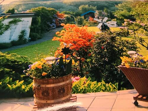 Foto - Einfamilienhaus zum Kaufen in Recke