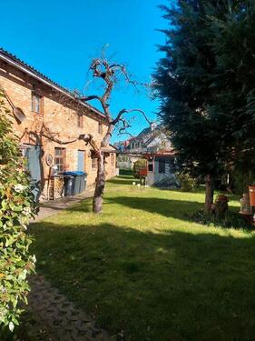 Foto - 3.5 Zimmer Dachgeschoßwohnung in Osterburg (Altmark)