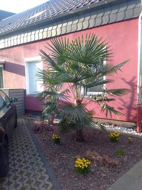 Foto - Einfamilienhaus zum Kaufen in Mülheim an der Ruhr