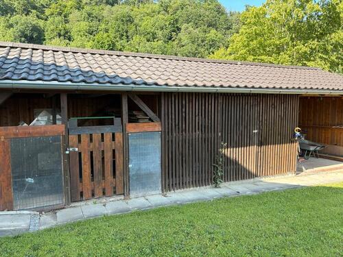 Foto - 4 Zimmer Einfamilienhaus zum Kaufen in Bach an der Donau