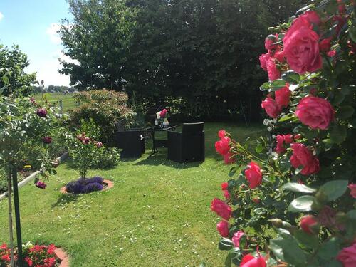 Foto - Ferienwohnung mit Hund in Ostfriesland