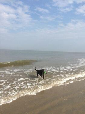 Foto - andere in Hage