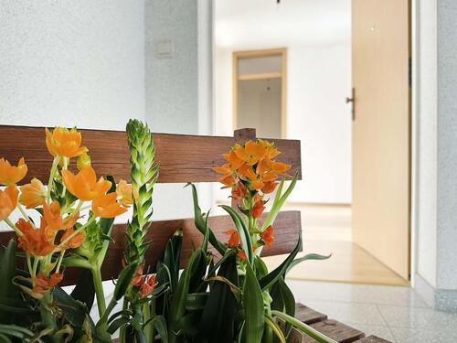 Foto - Attraktive 2-Zimmer-Wohnung mit Balkon auf dem Dautzsch in Halles Osten.