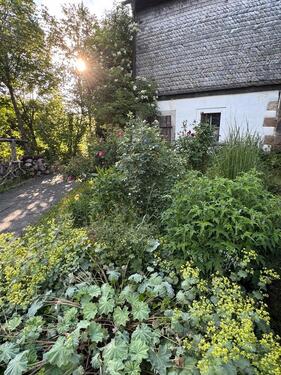 Foto - 8 Zimmer Einfamilienhaus zum Kaufen in Brücken