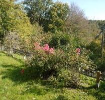 Tolle Einliegerwohnung mit eigenem Garten - Engelskirchen