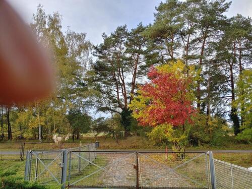 Foto - 4 Zimmer Einfamilienhaus zum Kaufen in Heidesee