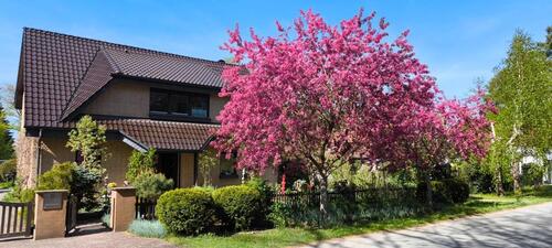 Foto - Charmantes Einfamilienhaus mit Wohlfühlgarten - XXL Doppelgarage
