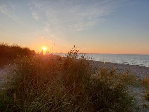 Foto - Ferienhaus mit Blick auf die Nordsee - 1. Mai noch frei -
