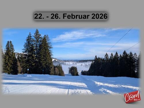 Foto - Ferienwohnung Feldberg Schwarzwald direkt an der Skipiste