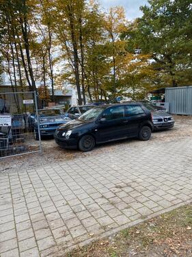 Foto - andere in Althengstett