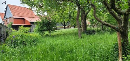 Foto - 9 Zimmer Einfamilienhaus in Auma-Weidatal