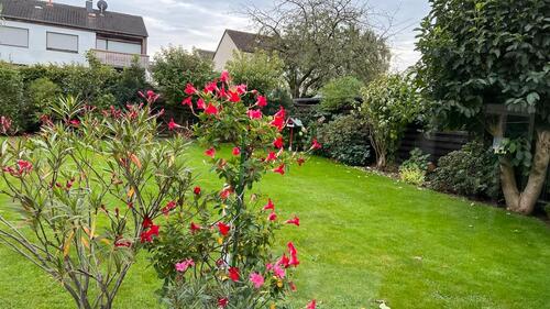 Foto - 2 Zimmer Etagenwohnung in Iserlohn