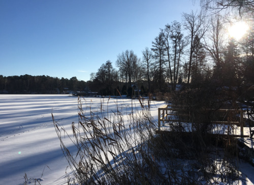 Foto - andere in Heidesee