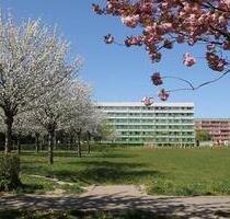 Schöne 3-R-Wohnung mit Dusche im 2. Geschoss - Bernburg (Saale)
