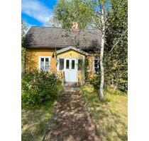 Nur für Schweden Liebhaber in Silverdalen Schweden - Bremervörde