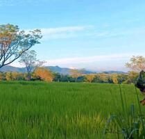 Paraguay | Auswandern | Exit Strategie | Exklusive Baugrundstücke - Satteldorf