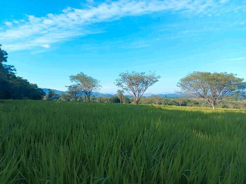 Foto - andere in Satteldorf