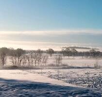 Verwirklichungen Wohnensemble erbauen1 Hektar Koppel - Wester-Ohrstedt