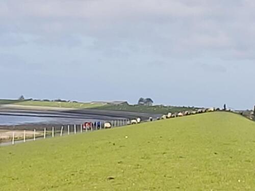 Foto - Norddeich-Nordsee Ferienwohnung direkt hinter dem Deich!!!!FREI!!