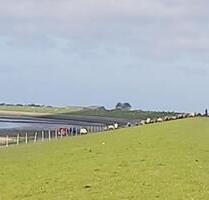 Norddeich-Nordsee Ferienwohnung direkt hinter dem Deich!!!!FREI!! - Norden