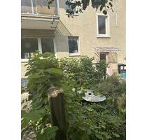 Wohnung in Frankfurt am Main - 1.400,00 EUR Kaltmiete, in Frankfurt am Main (PLZ: 60386) Fechenheim