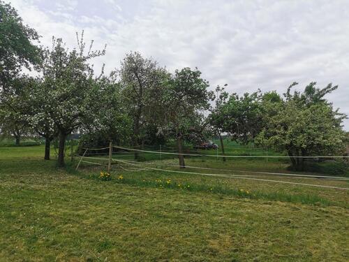 Foto - Einfamilienhaus in Kastellaun