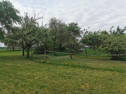 Foto - Einfamilienhaus in Kastellaun zum Kaufen