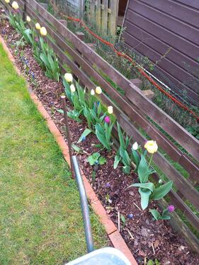 Foto - 2 Zimmer Bungalow zum Kaufen in Bad Bodenteich