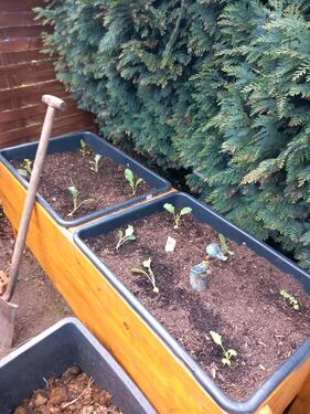 Foto - 2 Zimmer Bungalow in Bad Bodenteich