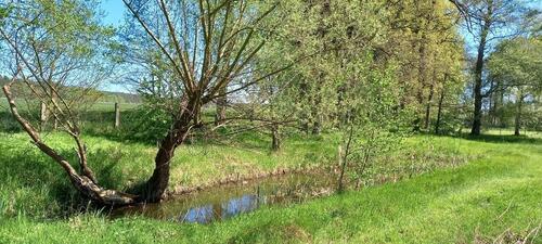 Foto - 