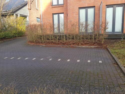 Foto - 2 Zimmer Erdgeschoßwohnung zur Miete in Husum