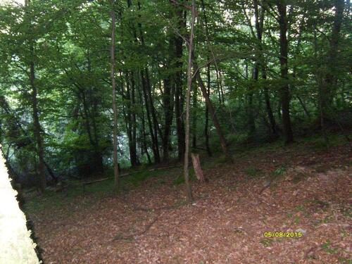 Foto - Grundst&uuml;ck in Bad Bibra zur Miete