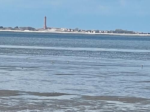Foto - Ferienwohnung Ostfriesland Nordsee bei Norddeich,Hund no Kurtaxe