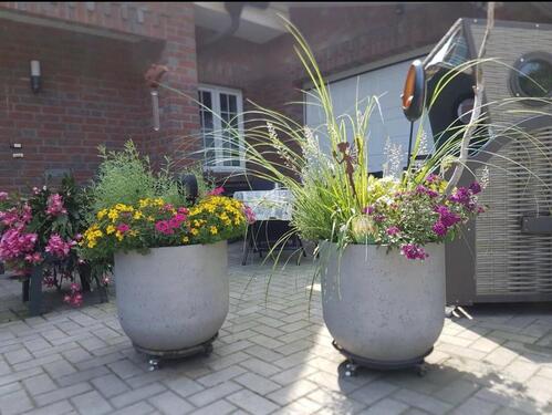 Foto - andere in Großheide zur Miete