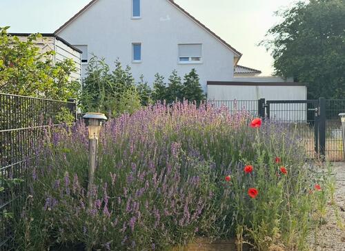Foto - Einfamilienhaus in Langenhagen