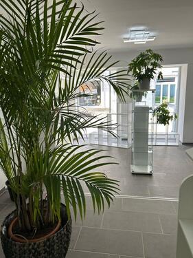 Foto - Ladenlokal Fußgängerzone Stolberg Steinweg Geschäft Einzelhandel