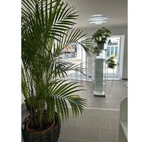 Ladenlokal Fußgängerzone Stolberg Steinweg Geschäft Einzelhandel - Stolberg (Rheinland)