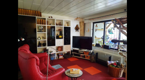 Foto - 3 Zimmer Etagenwohnung in Bornheim