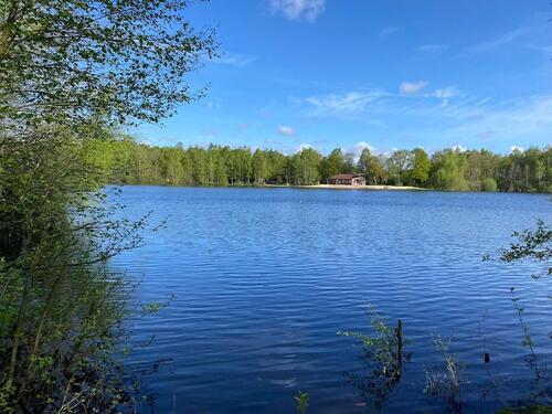 Foto - lichtdurchflutetes Haus am Badesee mit Seeblick