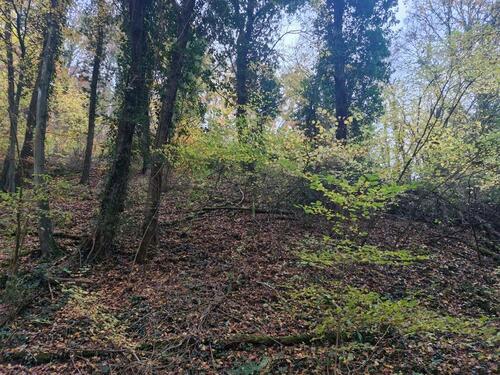 Foto - Grundstück in Osterspai